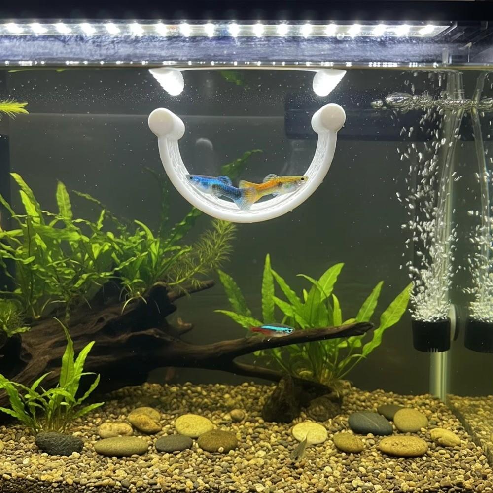 Plastic Betta Fish Hammock 3D Printing Aquarium Resting Platforms  for Rest Sleeping Playing