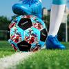 Custom Name Miraculous Theme Size 5 Soccer Ball, Suitable for Both Indoor and Outdoor Matches, a Gift Suitable for Everyone.