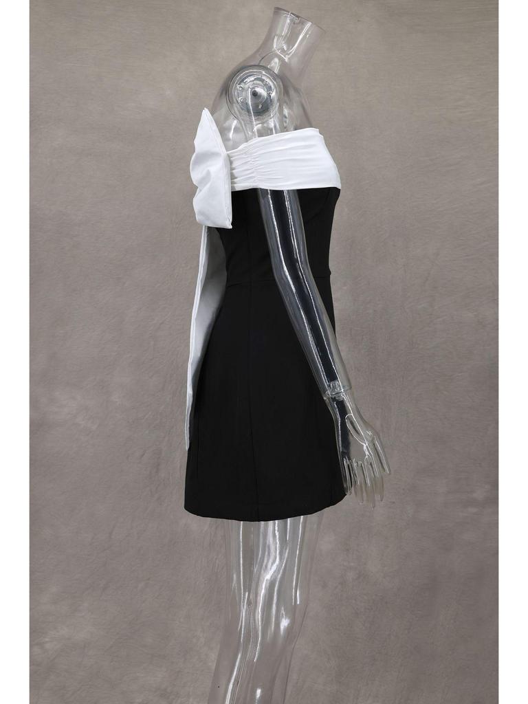One-Shoulder Black & White A-Line Dress with Bow - Waist-Defining Design, Spring/Summer