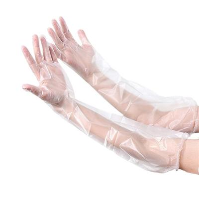 Disposable Glove Transparent Eco-friendly Multifunctional Farm Glove for Cooking Kitchen Sturdy 10PCS/Bag Long Arm
