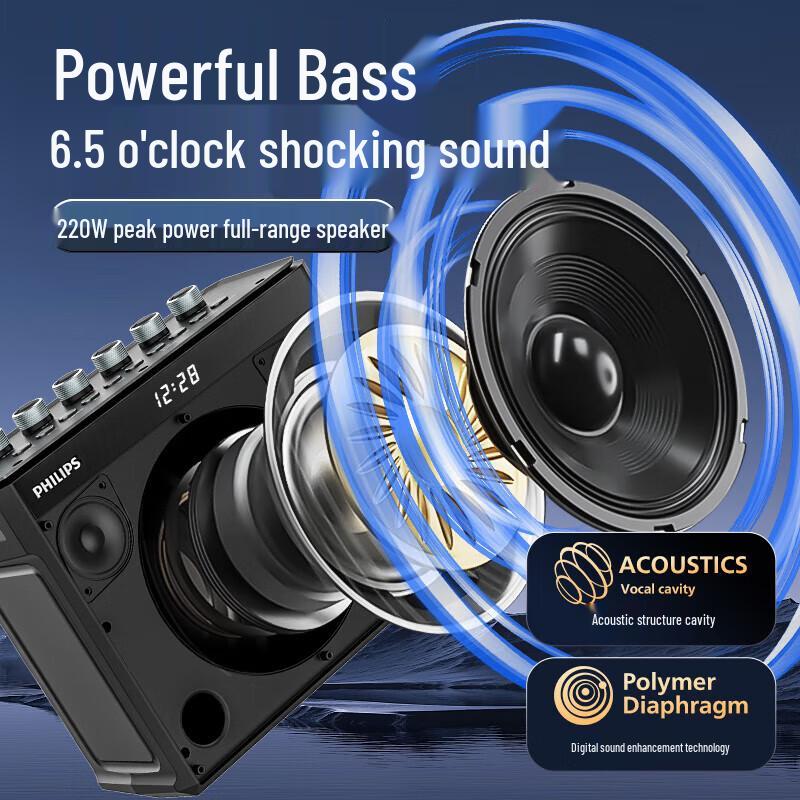 Philips Portable Outdoor Bluetooth Karaoke Speaker CN plug (adapter included)