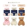 [Sears] Teddy Bear Plush Toy, Gift (Pink)