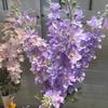Large Size Artificial Flocked Delphinium Silk Fake Flowers Arrangement  Wedding Decor