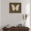 Art Mural Papillon Avec Cadre en Bois Peintures sur Toile Élégantes Affiches Anciennes Montage Facile Pour Chambre à Coucher Espace de Vie