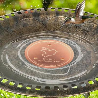 Kuş – Açık hava kuş besleyicileri