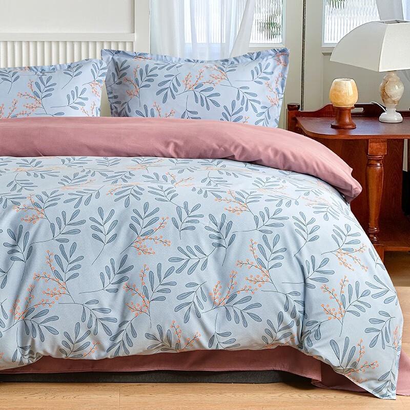 

Grace Morandi Style 4-Piece Bedding Set