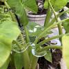 Monstera Plant Support Holder Reusable Flower Shape Plant Grapple Stem Holder Monstera Plant Retaining Support for Indoor Outdoor Plants