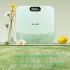 Smart Body Weight Scale (CN Version)