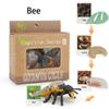 Cycle Figurine Animal Life Cycle Children Toys Simulation Plant Model Animal Growth Cycle Model
