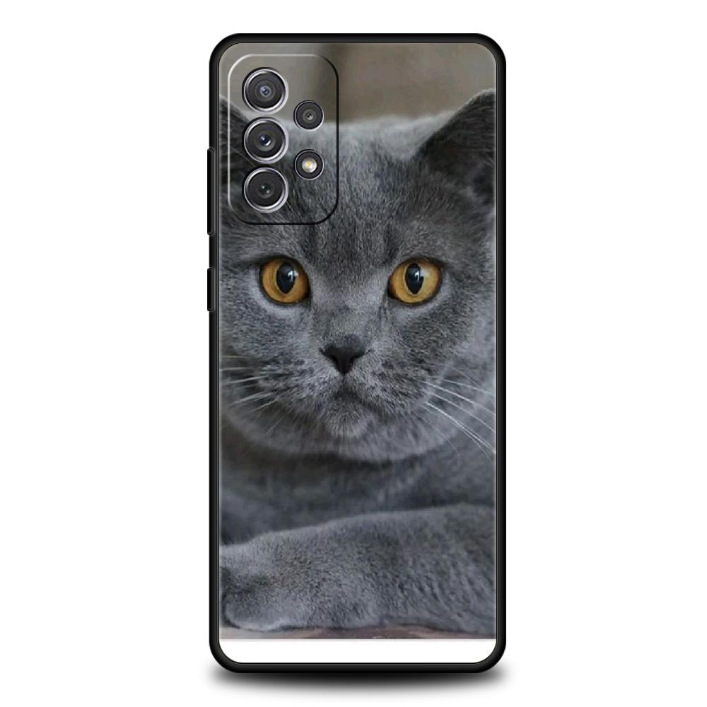 Britische Kurzhaarkatze Fall für Samsung A24 A12 A14 A32 A50 A70 A20E A20S A10 A10S A22 A30 A40 A34 A54 A42 A52 5G A04s A72 Abdeckung