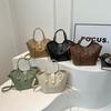 Stylish 2024 Summer Women's Crossbody Bucket Bag Trendy Minimalist Shoulder Handbag