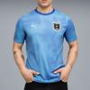 Puma X Austria Collaboration Salehe Bembury Goalkeeper National Team Austria Home Moisture-Wicking Crew Neck Short Sleeve Football Shirt 785547-83