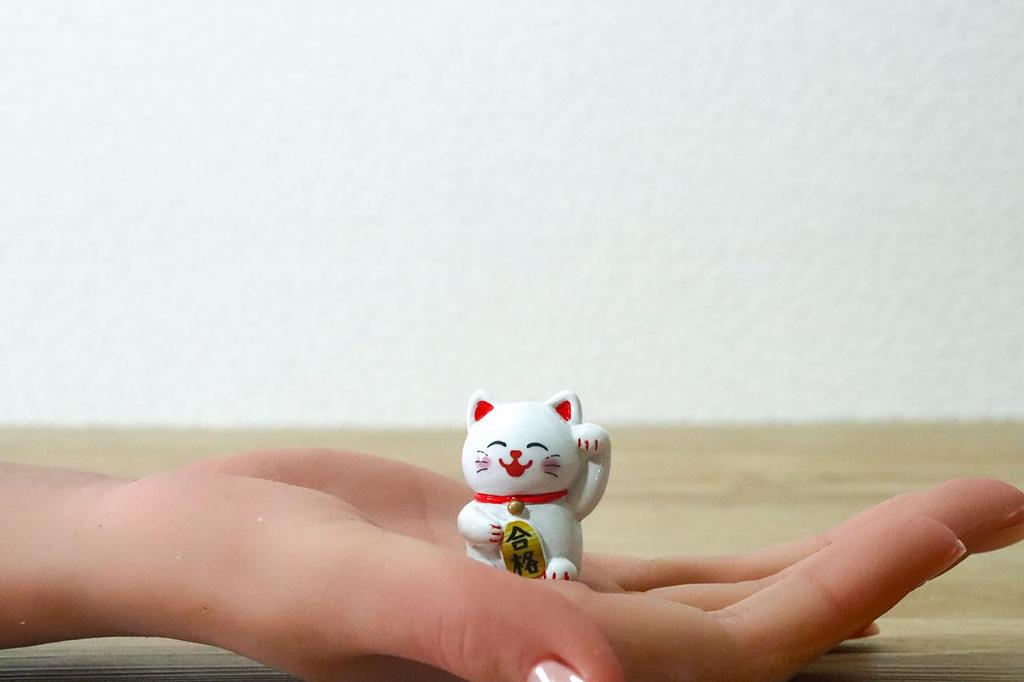 Castle Enterprises Feng Shui Maneki Neko Display Set (12 Pieces, 3.2cm Long)