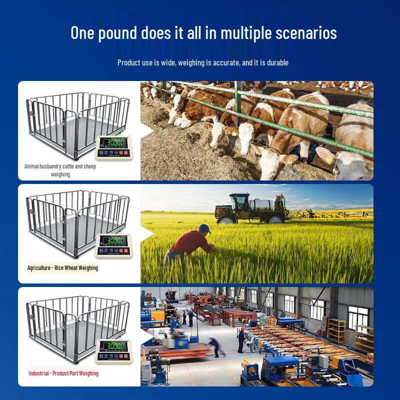 Aodemai Livestock Anti-Shake Floor Scale