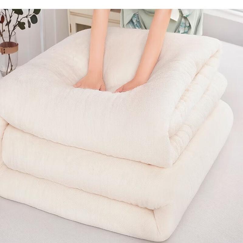oeny Thickened Cotton Quilt