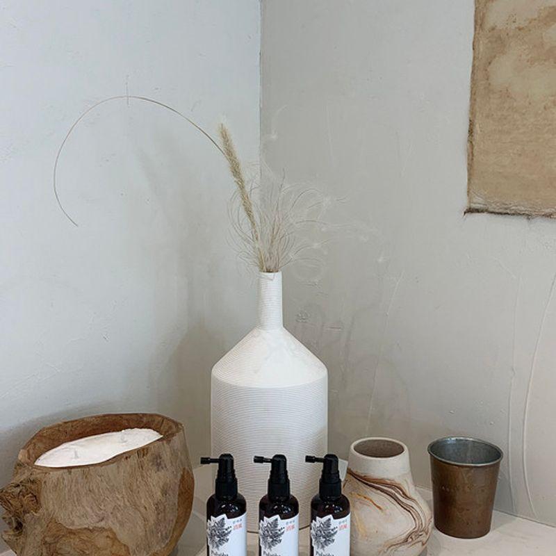 Pulsoba Wild Herb Picnic Scalp Grass Tonic 100ml X 2