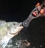 Lightweight Aluminum Fish Grip