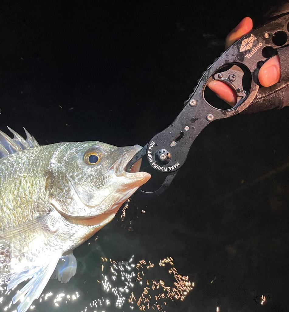 Lightweight Aluminum Fish Grip