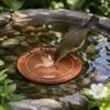 Copper Bird Bath Purification Disk 10cm Feeder Tray New Bird Bath Water Fountain  Outdoor