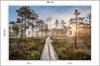 Photomural Wooden Path In The Forest Smooth Vinyl 180x120