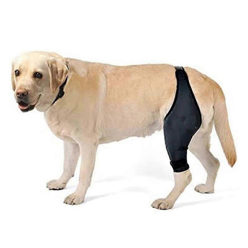 Manga para Pata Trasera de Perro para Recuperación de Heridas y Prevención de Lamido/Mordedura, Ajuste Transpirable Ajustable (METRO)
