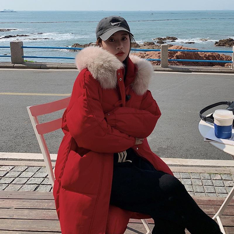 Winter New Padded Down Cotton-padded Jacket Coat with Foreign Flavor and Large Fur Collar Cotton-padded Jacket