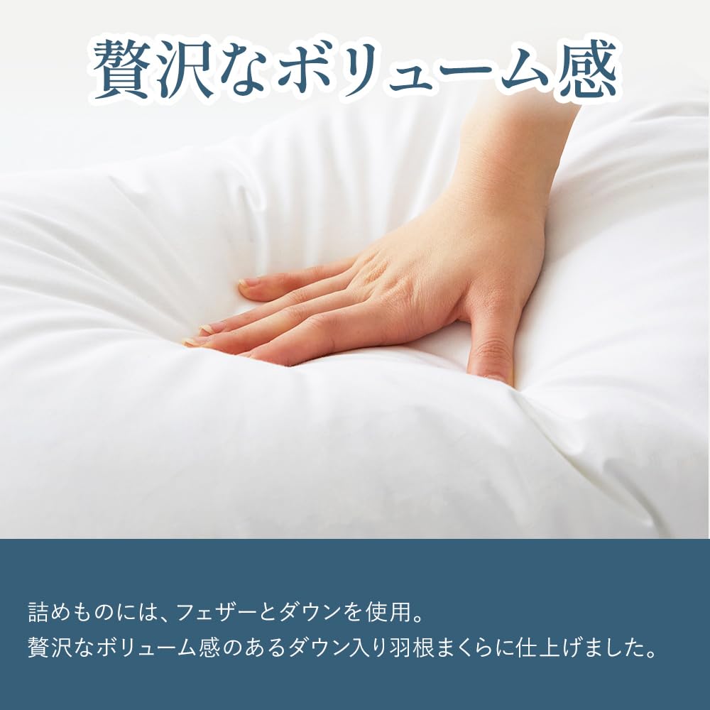 Showa Nishikawa Down Pillow, 85% Feather, 15% Down, 100% Cotton Cover, Approx. 63 X 43cm, with Moderate Elasticity and Sinking for Firm Head Support