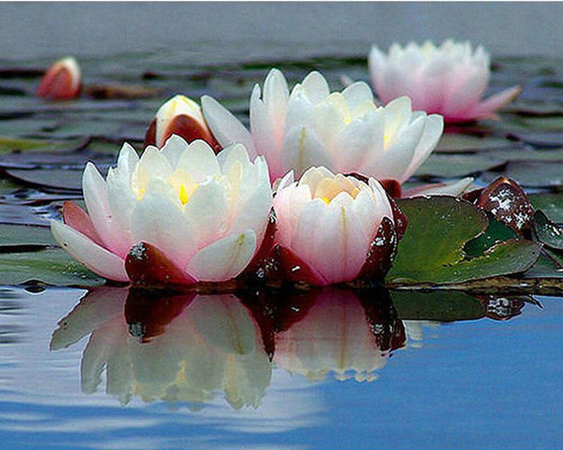 

Полный бриллиант круглый/квадратный алмазный цветок мозаика животное вышивка крестом водный алмаз портрет украшение дома Full Square 20X30CM светло-синий