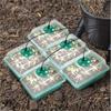 4/5/6 Pack Full Spectrum LED Grow Light with Seedling Tray Plant Seed Starter Trays Greenhouse Growing Lamp Hole 12 Cell Per Tray