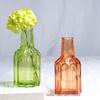 Nordic Retro Glass Vase - Mini Decorative Hydroponic Bottle for Living Room Decor