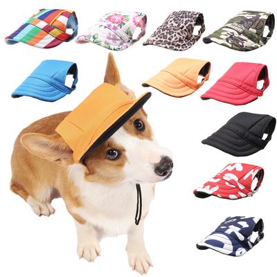 Giyim ve ayakkabı – Köpek için şapkalar