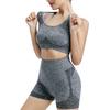 2 Pcs/Set Women Sports Suit Push-up Sleeveless Vest with Chest Pads Seamless Quick-drying High Waist Shorts Sportwear Yoga Fitness