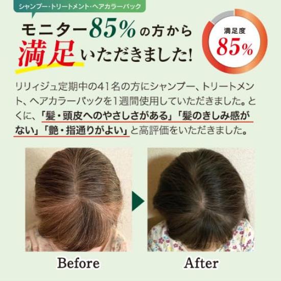 Wellbest Black Hair Treatment Gray Hair Scalp Care Damage Repair Lilyju Treatment (for / 250g) Women's (Color Treatment) (Keratin/Silicone-Free)