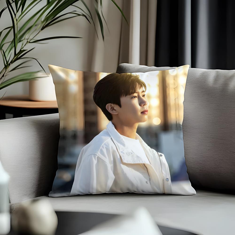 Trending LLlim Young Woonged Cushion Cover Antidustmite Pillowcase Invisible Zipper Silky Short Plush Sofa Cushion Cover