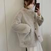 Autumn and Winter Imitation Lamb Fur Coat Women's Small Imitation Mink Velvet Short Velvet Thickened Cotton Coat Light