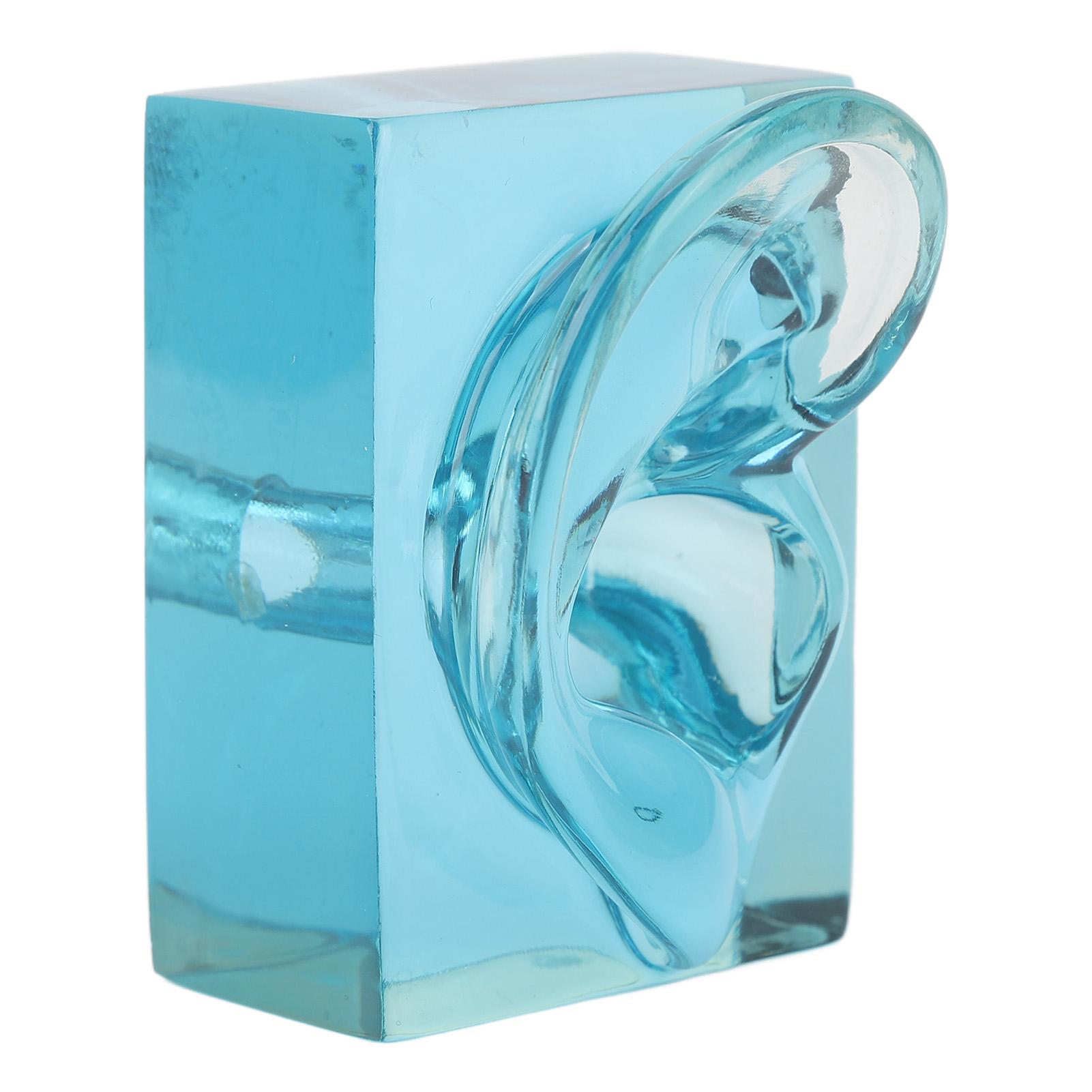 

Модель для демонстрации правого уха Акриловая Синяя Прозрачная Водонепроницаемая Модель Искусственного Уха Дисплеи для Слуховых Аппаратов