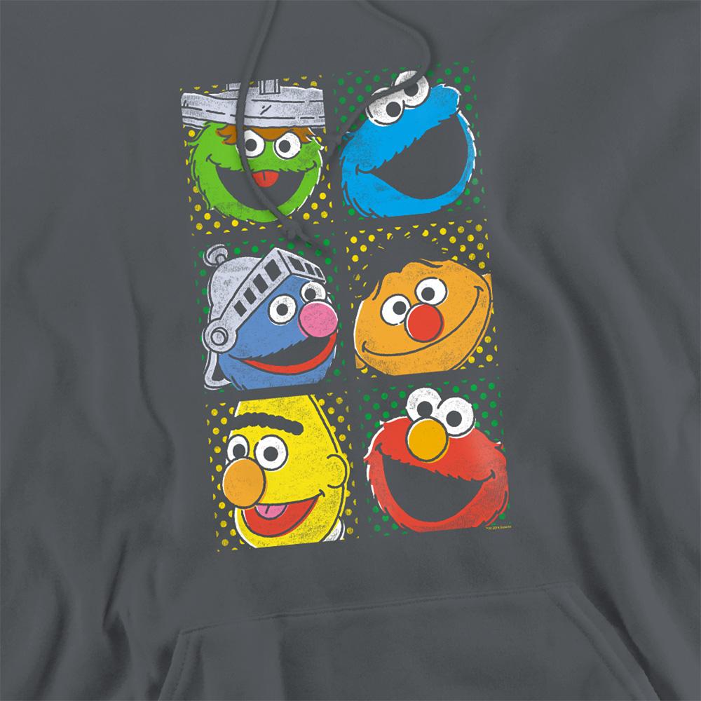 Sesame Street Unisex Adult Grid Photos Hoodie