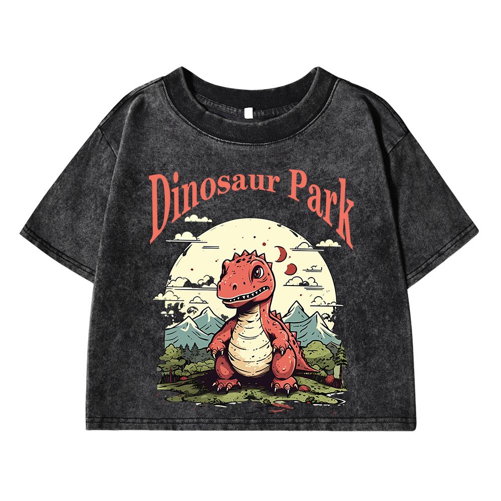 Dinosaur Park Cartoon Print Women Washed Short Tshirts Summer T-Shirt Breathable O-Neck Tee Shirts Soft Oversize Clothes