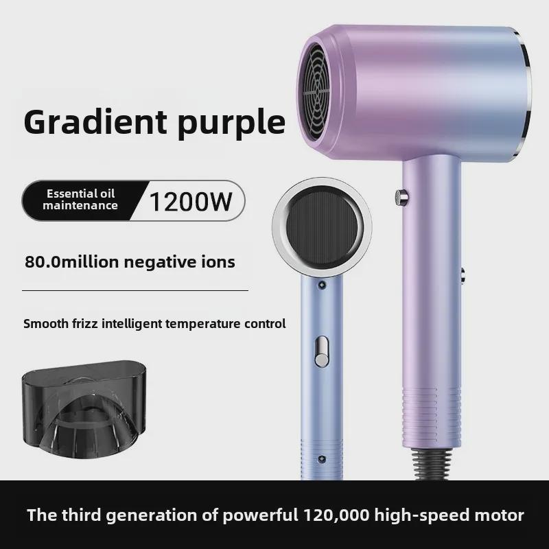 High-Power Hair Dryer with Ion Care and Hot/Cold Settings