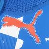 Puma Future 8 Match Forever Fg Ag