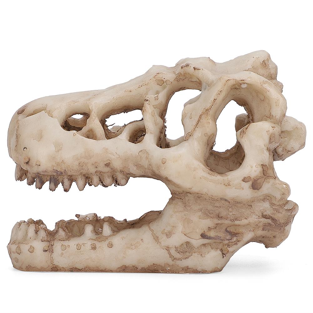 Dinosaur Skull, Fish Box Small Skull Aquarium Decorations Dinosaur Skeletons Aquarium Ornaments Skeleton Hole Artificial Dinosaur Skull Skeleton Orna