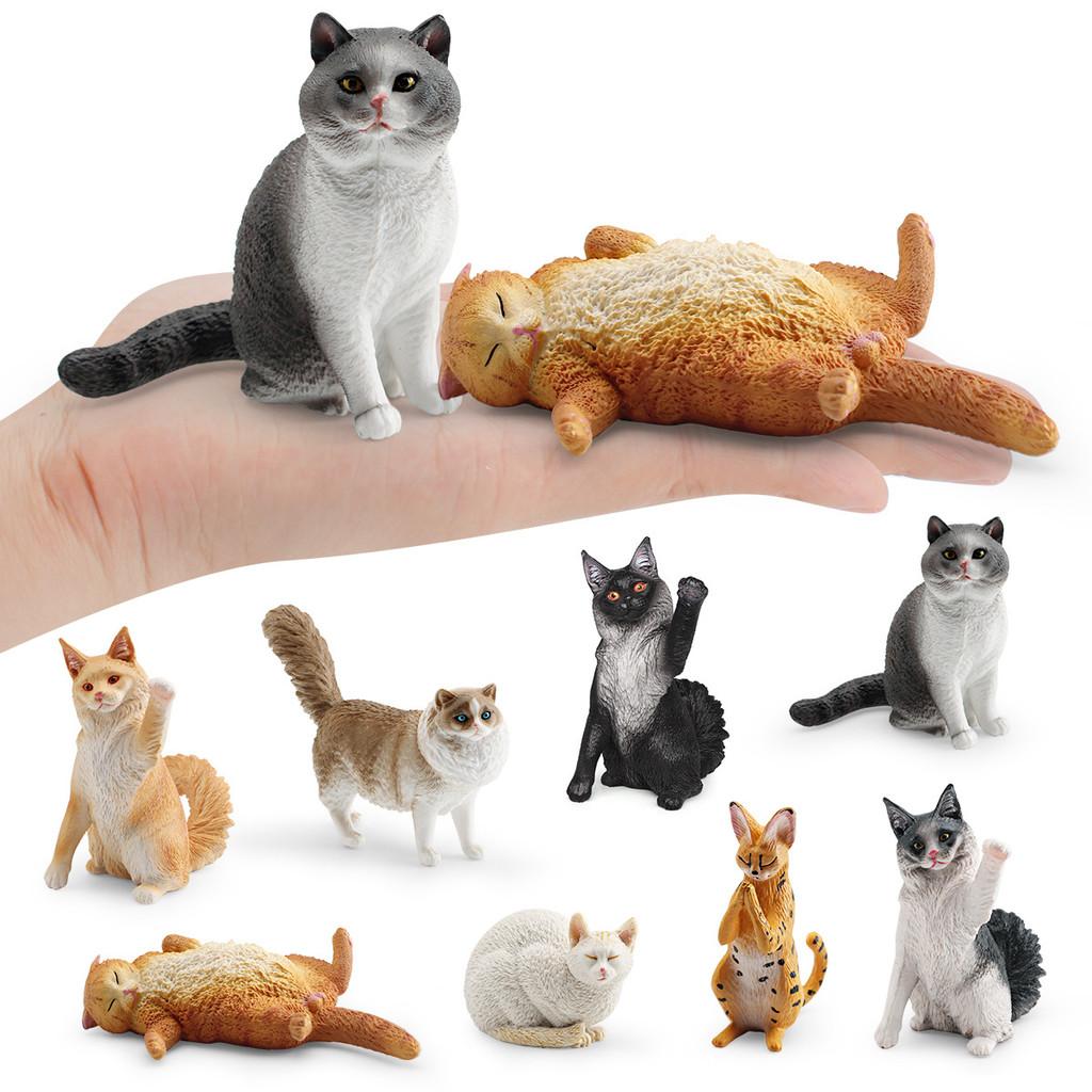 Maine Cat Ragdoll Coon Pvc Realistic Model Toys For Kids Learning And Decor Home