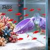 Peixes e animais aquáticos – Decoração de aquário