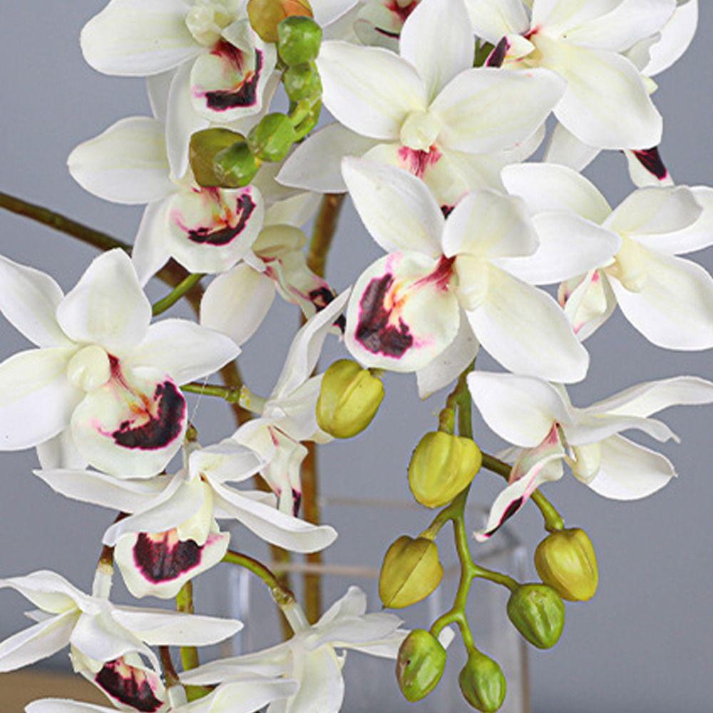 Real Touch Artificial Phalaenopsis Branches 2 Fork Fake Flowers  Garden Decoration