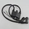 3A0-06048 Ignition Coil For Tohatsu Mercury Outboard Motor Parts 25 30HP 3A0-06048-1 160643 8M0047311 with Plug Cap