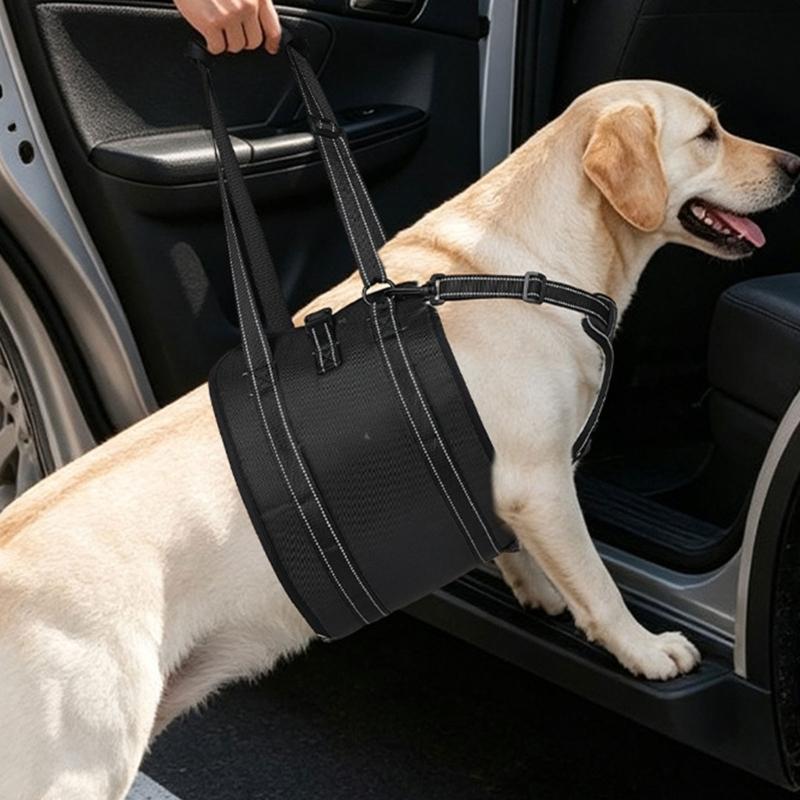 Dog Support Wrap for Senior Dogs with Sliding Fit Controls, Soft-Lined Chest Panel, and Two Handles for Guided Short Walks
