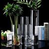 Custom Transparent Glass Vase for Fresh Flowers and Hydroponic Bamboo