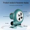 Jun Ding Ying 30W Electric Blower