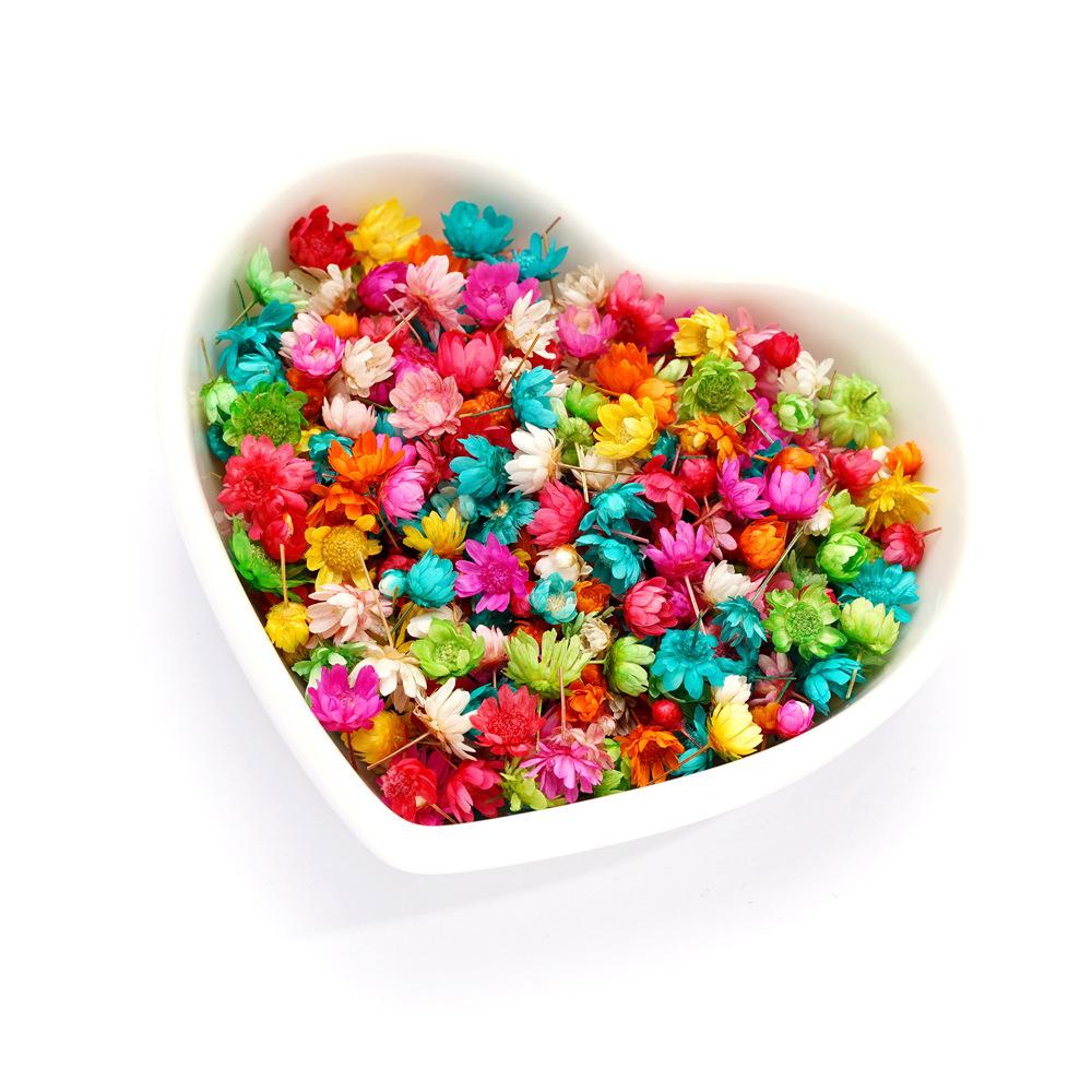 5mm~ 8mm Bags of Dried Flowers, Natural Little Star Flower Head, Handmade DIY Group Fan Crystal Epoxy Decorative Dried Flowers