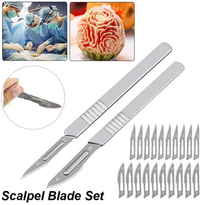 Karbon Çelik Oyma Metal Bistüri Bıçağı Sapı Bıçaklar Numara 11 23 Cerrahi Tıbbi Pratik Kesme Heykel Yontma Onarım Aleti